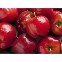 The Difference Between Natural Acerola Cherry Vitamin C and Synthetic Vitamin C