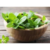 Application of Peppermint Extract in Cosmetics