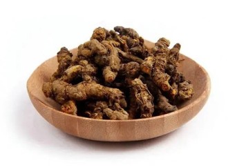 In addition to clearing heat, what are the functions of Coptis chinensis extract?