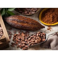 Cold knowledge about cocoa powder that you don't know