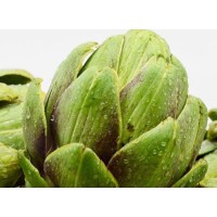 What are the health benefits of artichoke leaf extract?