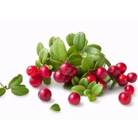 Popular science of new whitening ingredients - bearberry extract arbutin