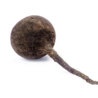 Do you know the nutritional value of black radish?