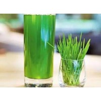What are the health benefits of drinking wheatgrass juice regularly?
