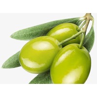 Anti-inflammatory, anti-allergic star ingredient - Autumn Olive Leaf Extract