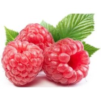 raspberry extract