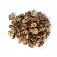 Chinese Herbs for Removing Dampness: Chinese Atractylodes
