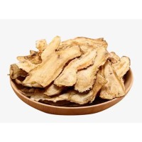 Why is Angelica root known as the golden choice for anti-aging and beauty?