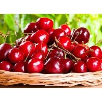 Acerola cherries contain a variety of nutrients