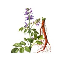 Application and efficacy of Scutellaria baicalensis extract in skin care products