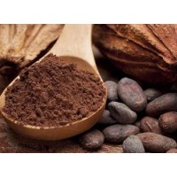 What are the functions and effects of cocoa powder?