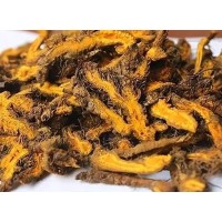 The connection and difference between Coptis Chinensis extract and berberine?