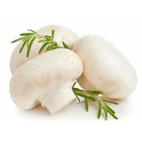 Who are suitable for eating white mushrooms?