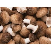 What nutrients are in shiitake mushroom extract?
