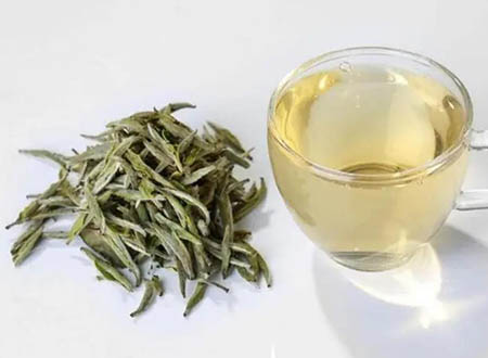 white tea extract 