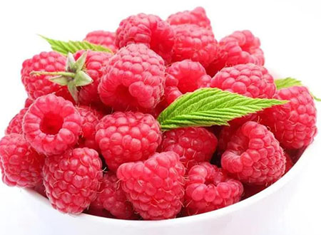 raspberry extract - raspberry ketones